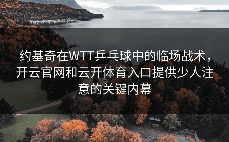 约基奇在WTT乒乓球中的临场战术，开云官网和云开体育入口提供少人注意的关键内幕