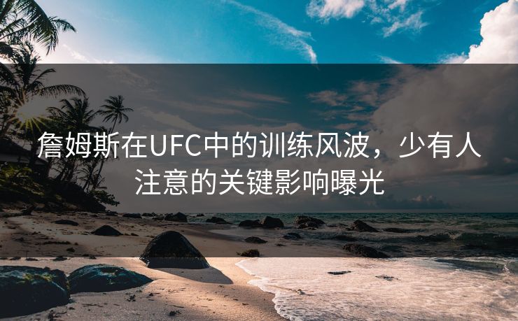 詹姆斯在UFC中的训练风波，少有人注意的关键影响曝光