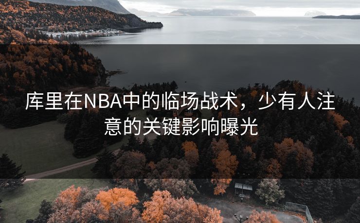 库里在NBA中的临场战术，少有人注意的关键影响曝光